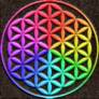 flower of life